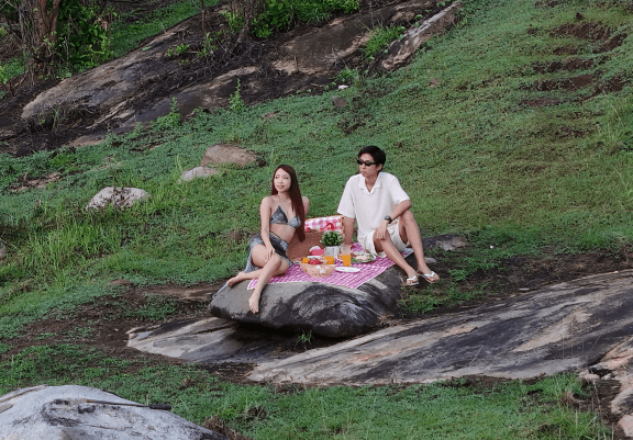 picnic